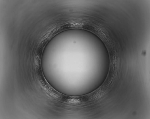 X0000116390649200912161525