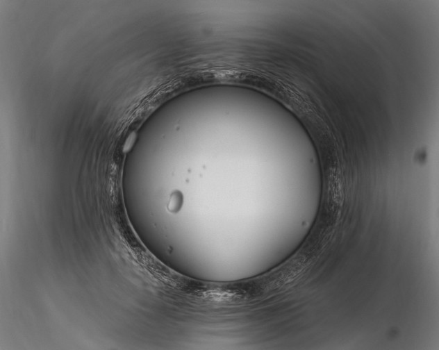 X0000116390650200912161525