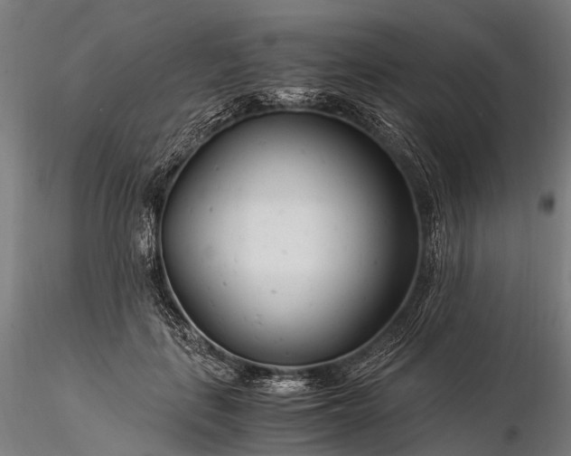 X0000116390651200912161525