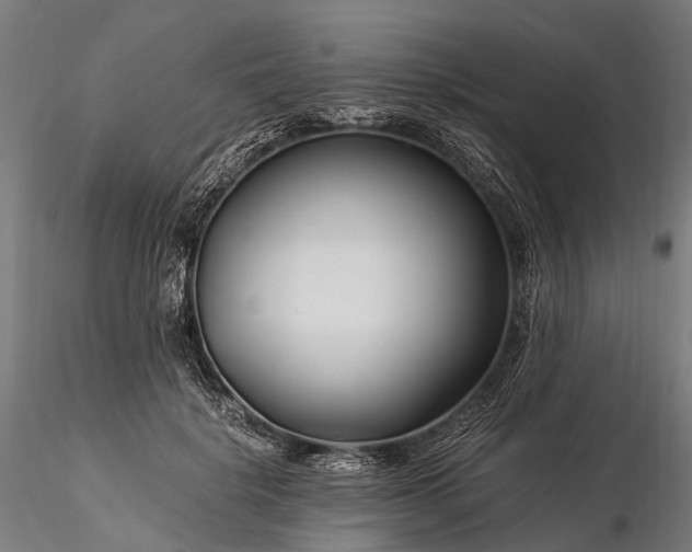 X0000116390652200912161525