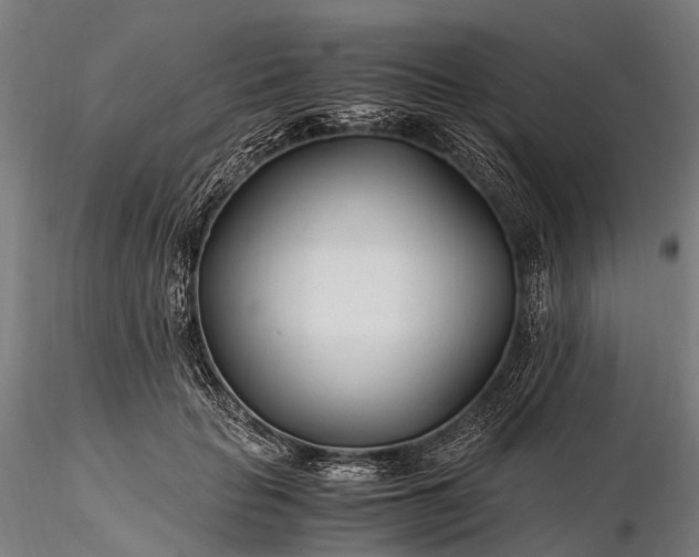 X0000116390653200912161525