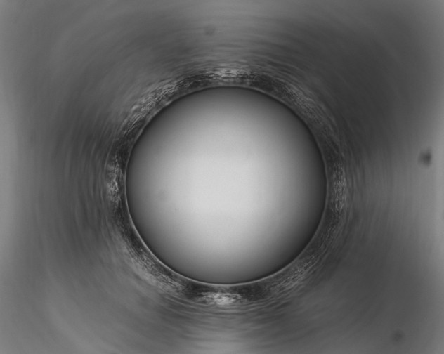 X0000116390654200912161525