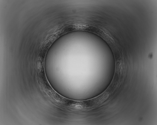 X0000116390655200912161525