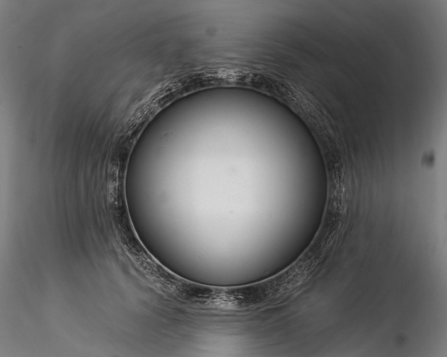 X0000116390656200912161525