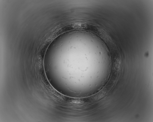X0000116390659200912161525