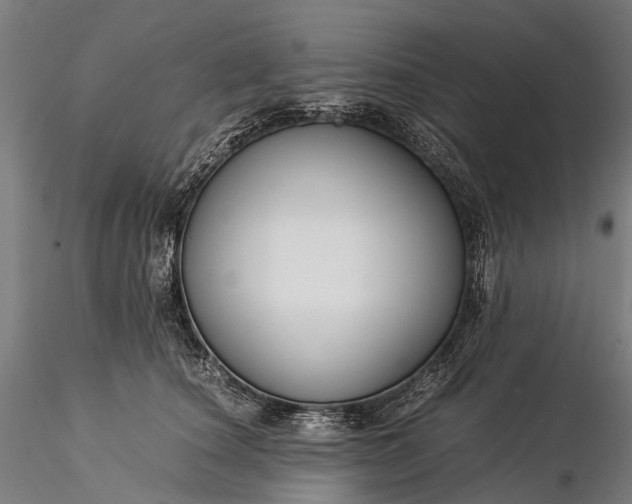 X0000116390660200912161525