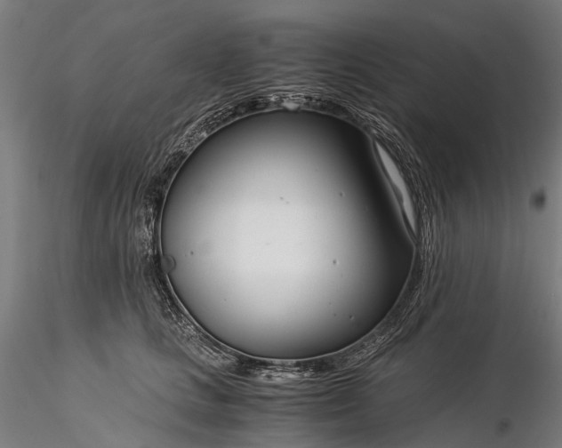 X0000116390661200912161525