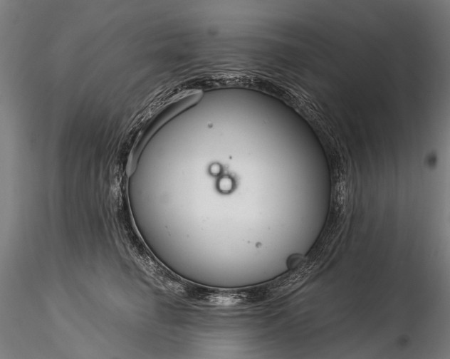 X0000116390662200912161525
