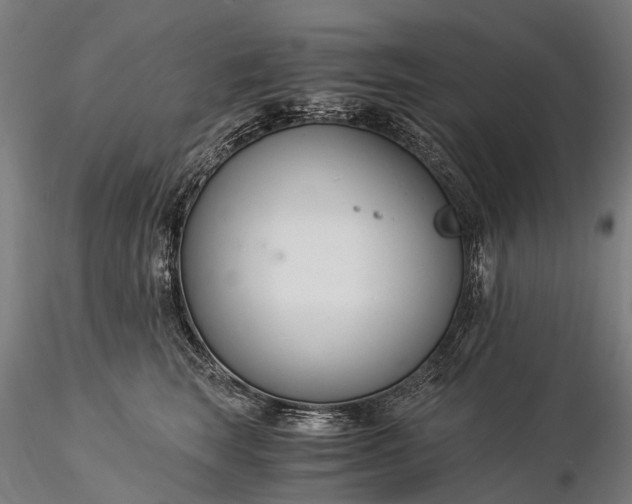 X0000116390663200912161525