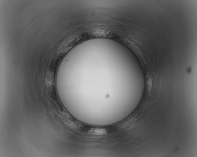 X0000116390665200912161525