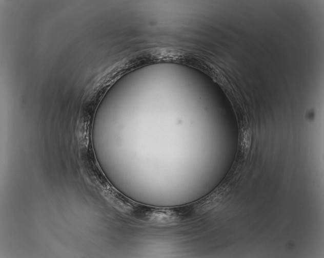X0000116390666200912161525