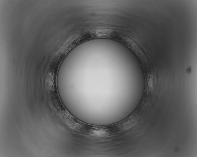 X0000116390667200912161526