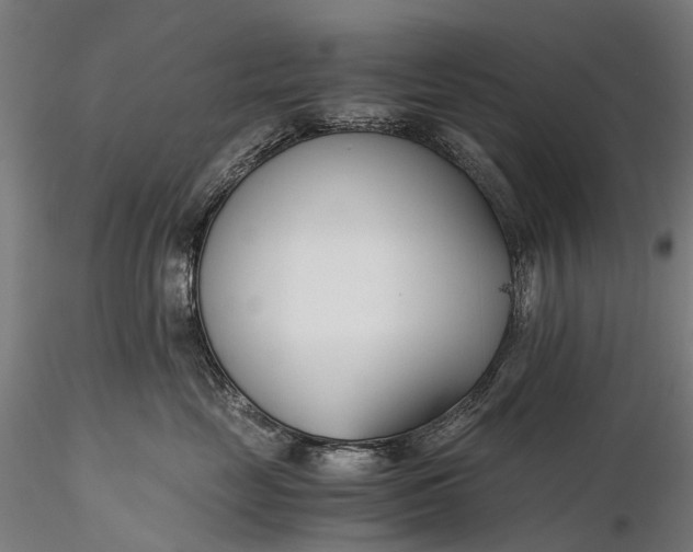 X0000116390669200912161526