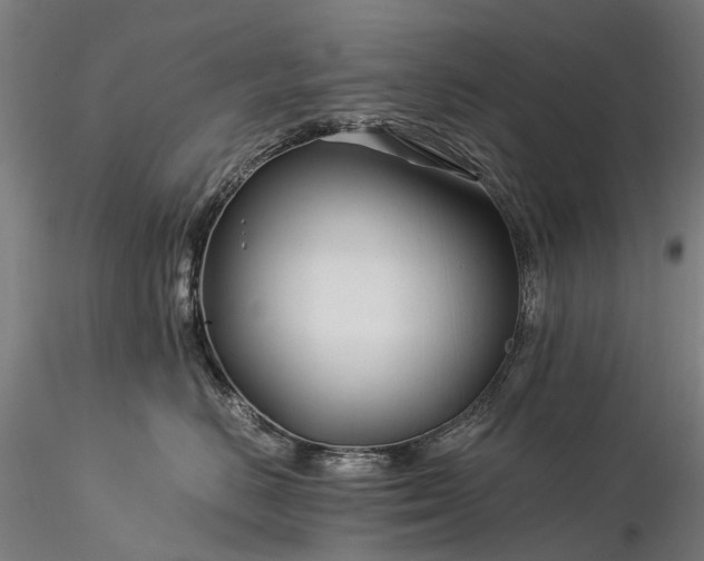 X0000116390670200912161526