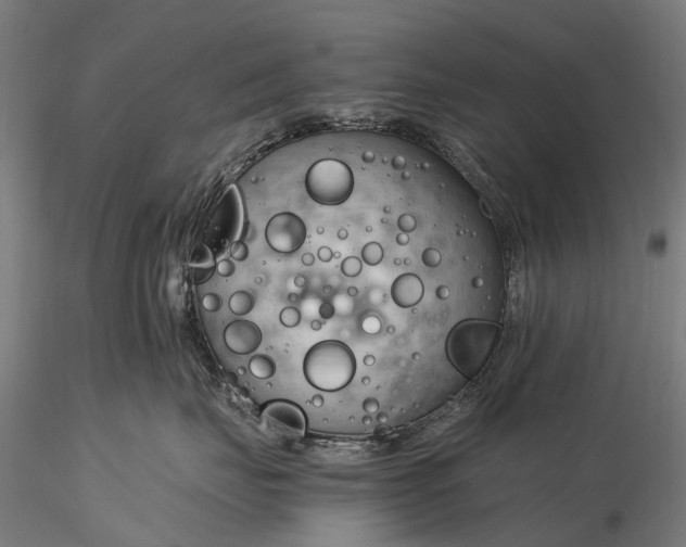 X0000116390671200912161526
