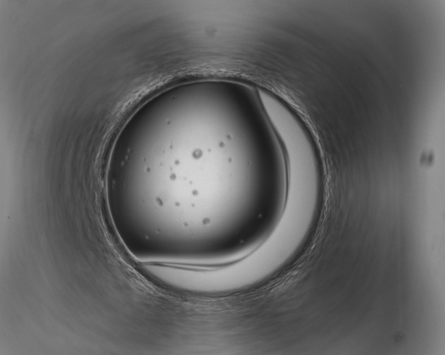 X0000116390673200912161525