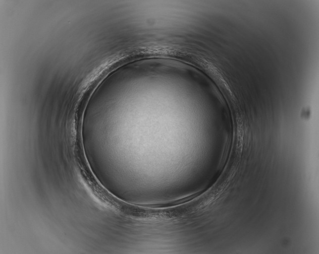 X0000116390674200912161525
