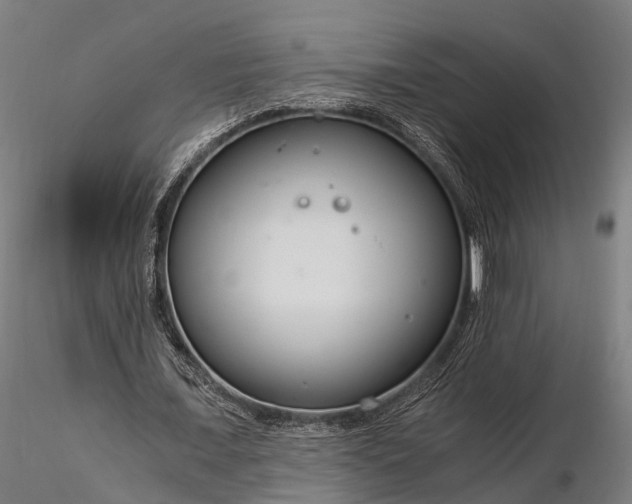 X0000116390675200912161525