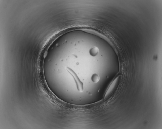 X0000116390676200912161525