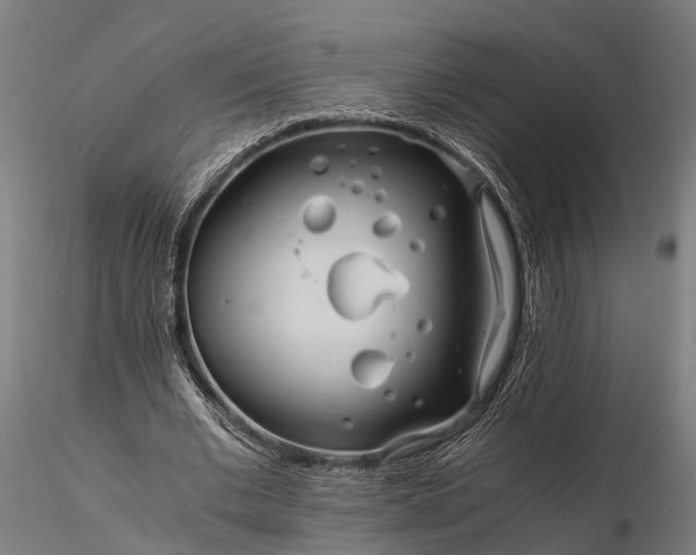 X0000116390677200912161525