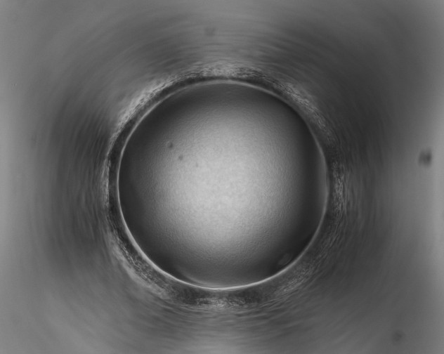 X0000116390678200912161525