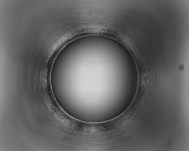 X0000116390679200912161525