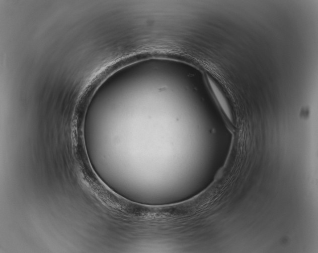 X0000116390680200912161525