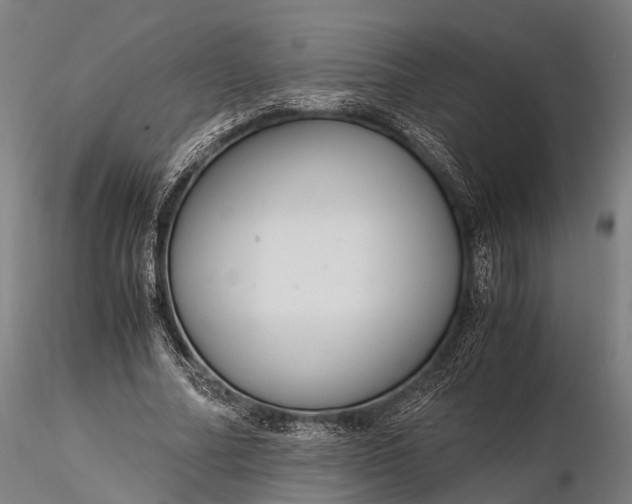 X0000116390682200912161525
