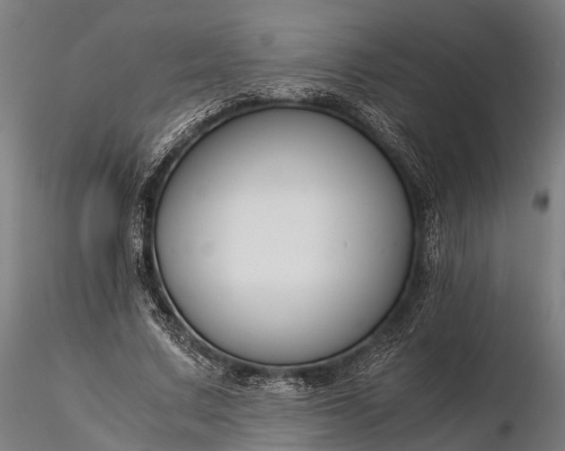 X0000116390683200912161525