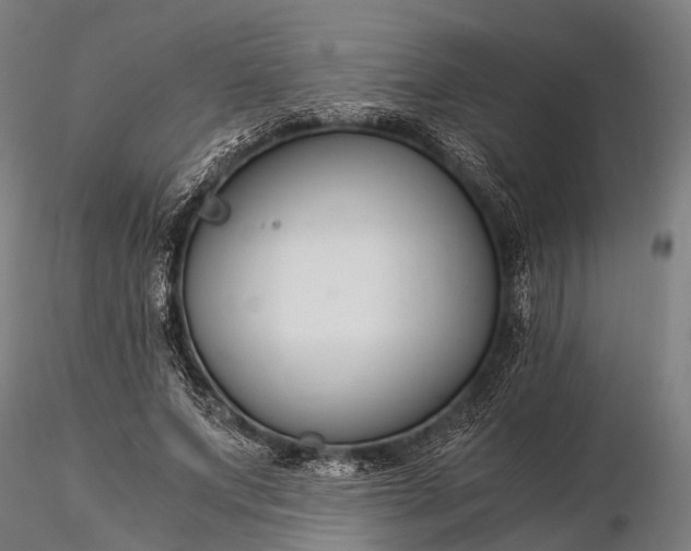 X0000116390687200912161525