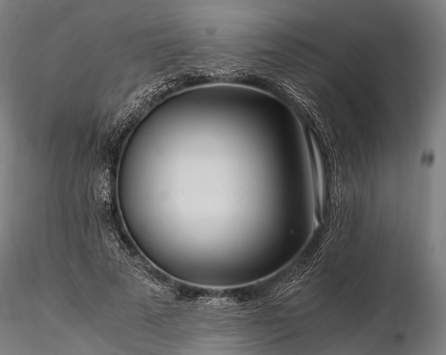 X0000116390689200912161525