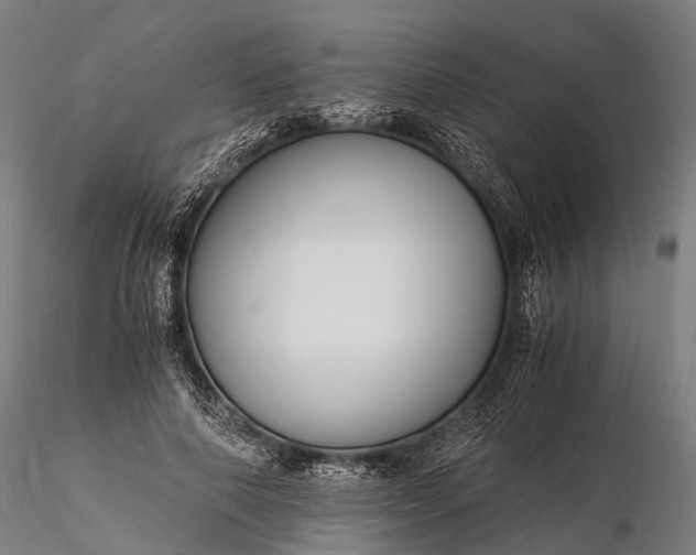 X0000116390690200912161524