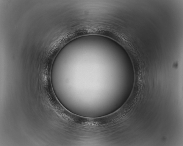 X0000116390691200912161524