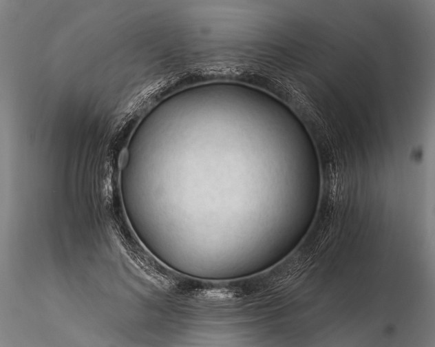 X0000116390692200912161524