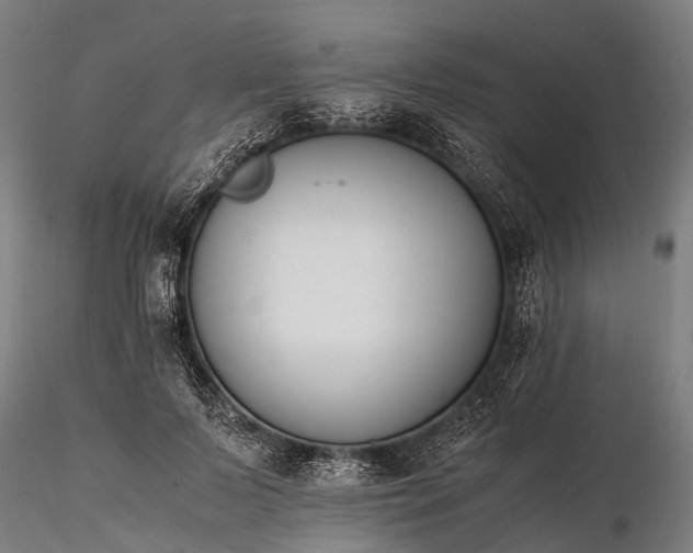 X0000116390695200912161524