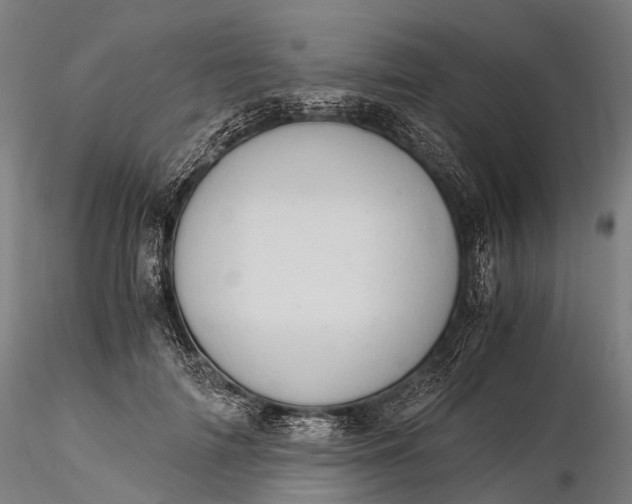 X0000116390698200912161524