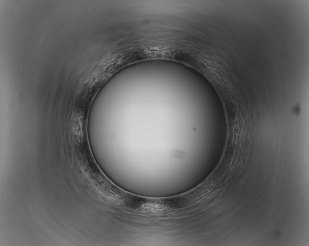 X0000116390699200912161524