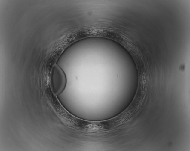 X0000116390703200912161524
