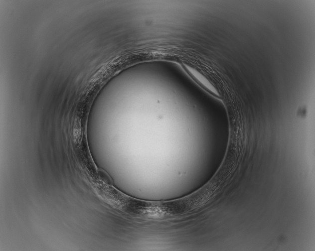 X0000116390704200912161524