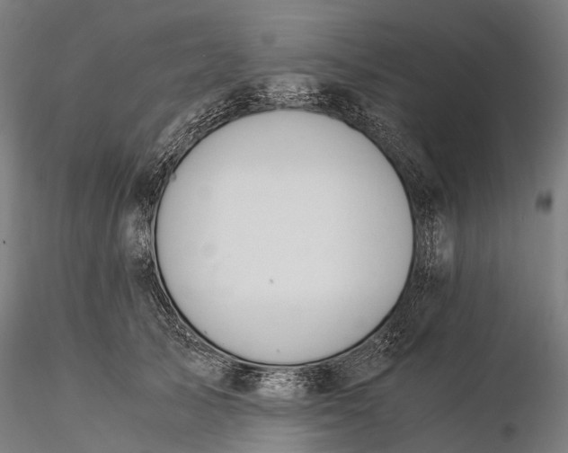 X0000116390705200912161524