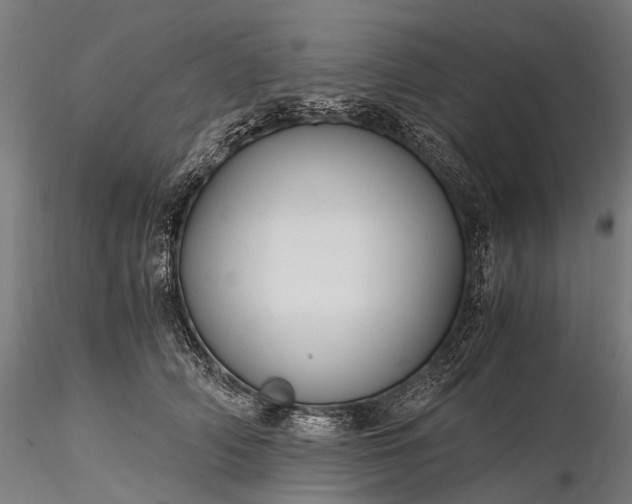 X0000116390706200912161524
