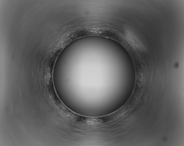 X0000116390707200912161524