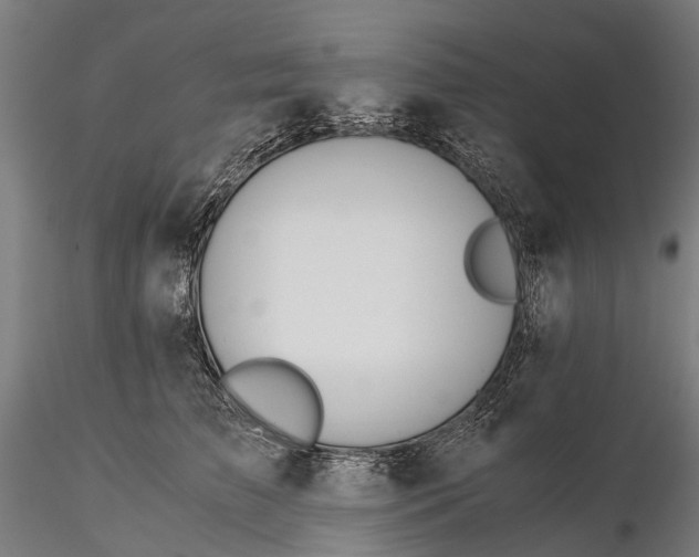 X0000116390709200912161524
