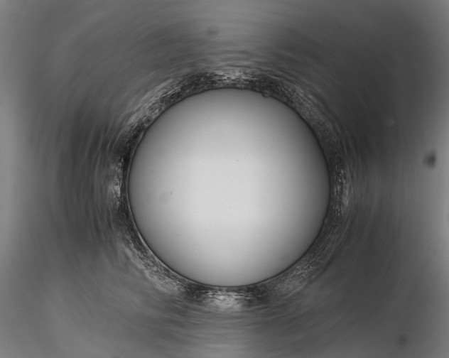 X0000116390710200912161524