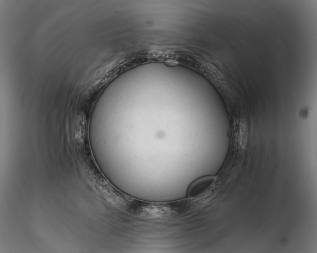 X0000116390712200912161524
