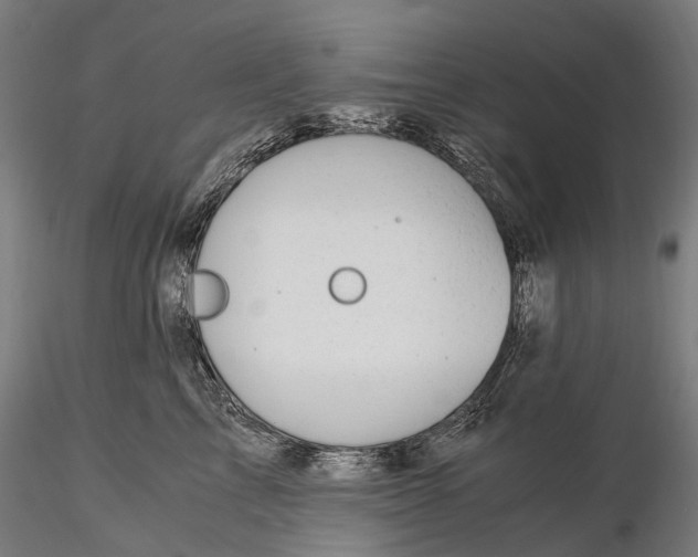 X0000116390713200912161524