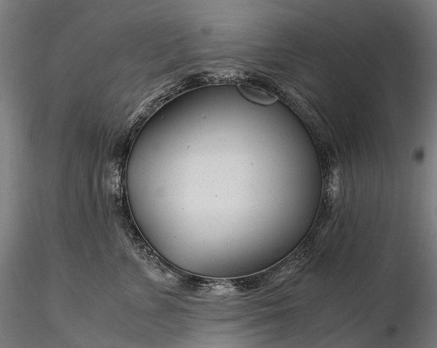 X0000116390715200912161524