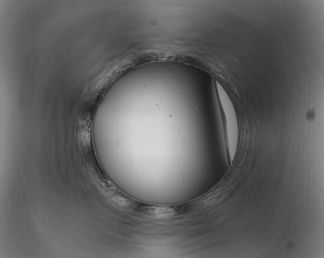 X0000116390719200912161524