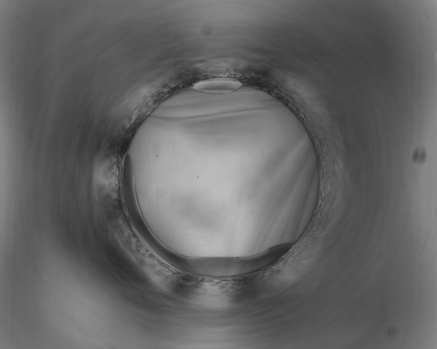 X0000116390720200912161524