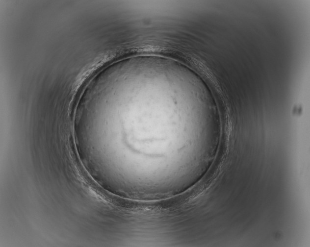 X0000116390721200912161523